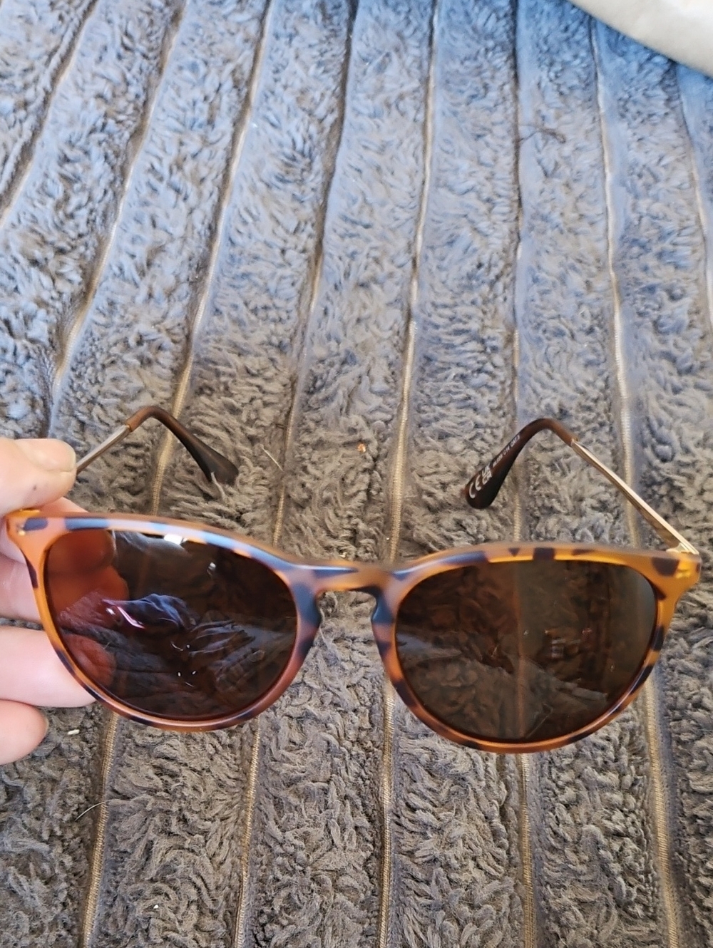U.k Rayban Erika Copy